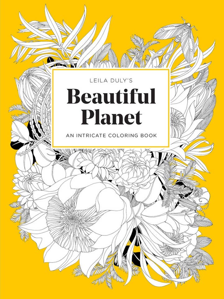 Leila Duly's Beautiful Planet for wholesale by Abrams