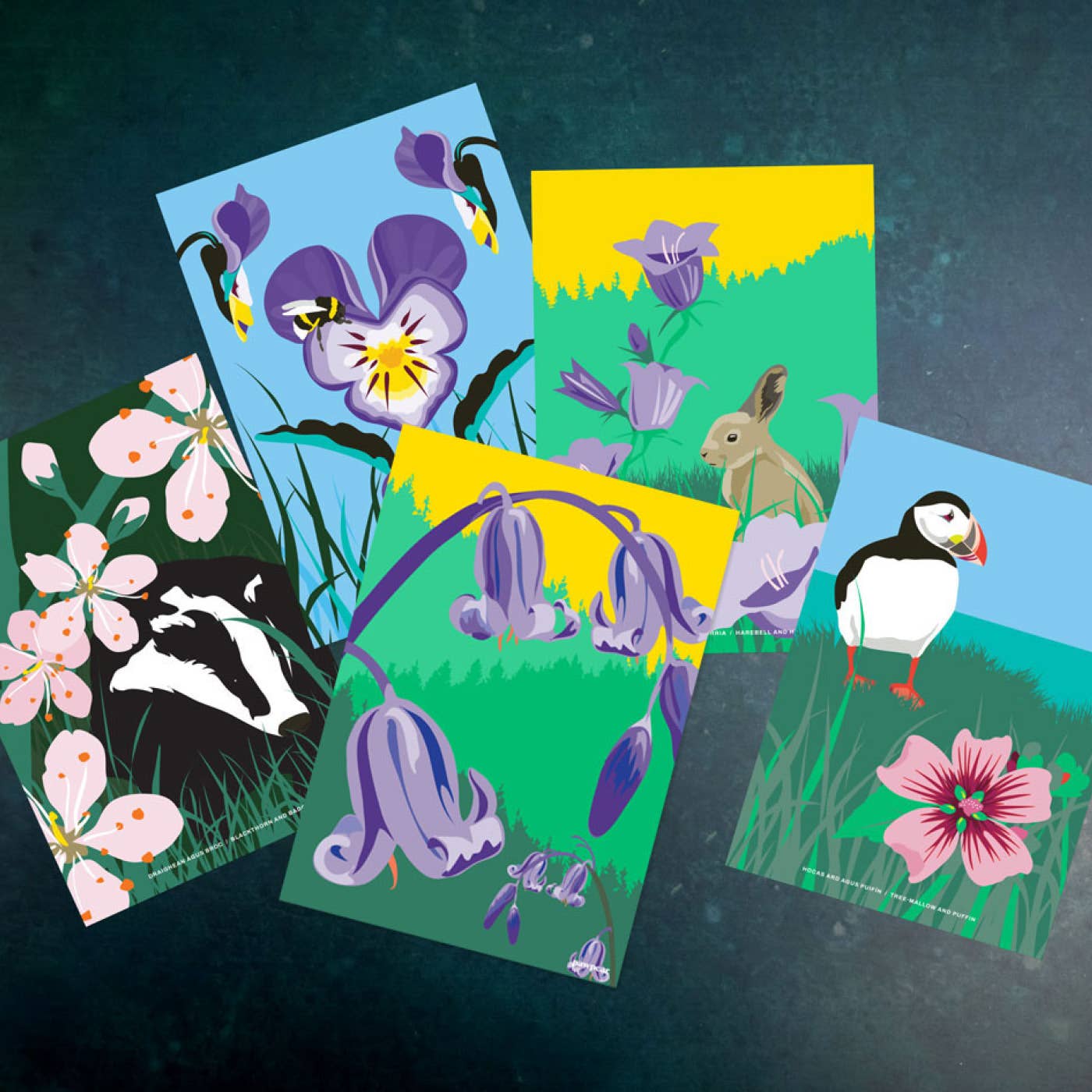 Pawpear - Wholesale Art Print - Bluebell Print3