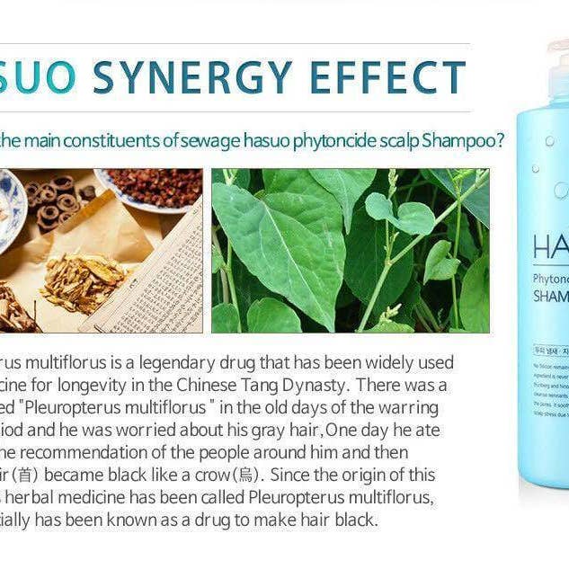 Palace Beauty Galleria – Engroshandel Hårshampoo – HASUO Phytoncide hovedbundsshampoo