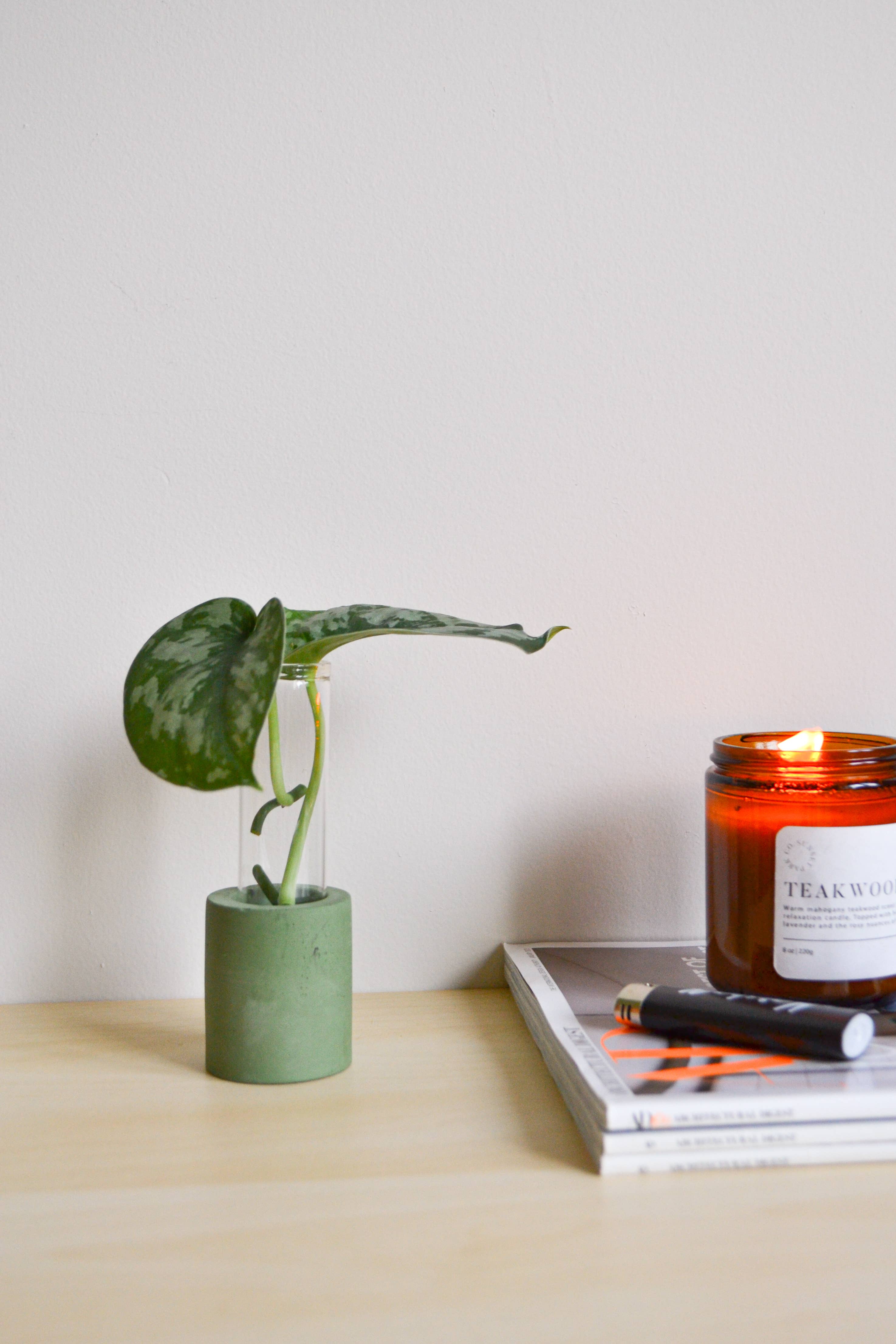 LindaMakess - Wholesale Vase - Single Concrete Plant Propagation Test tube Stand7