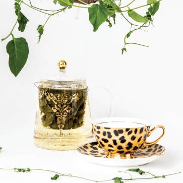 LyndalT – Engroshandel Tekande – Glas Tekande i marokkansk tema - 800mL5