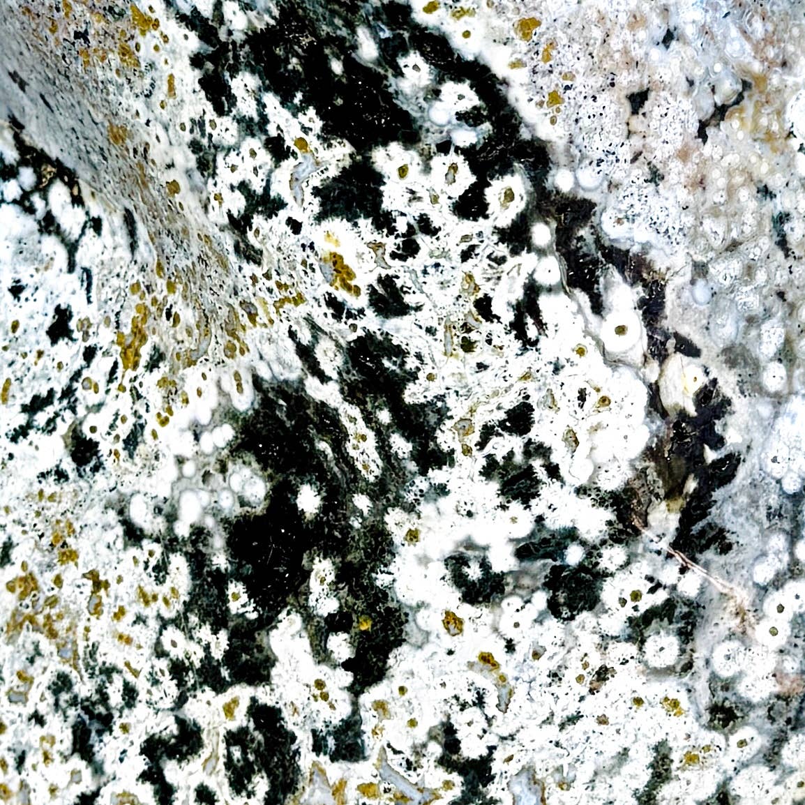 Kreateur Miami - Wholesale Crystal Charging Plate - XL Blue Green Ocean Jasper Freeform – 40.1 lbs3