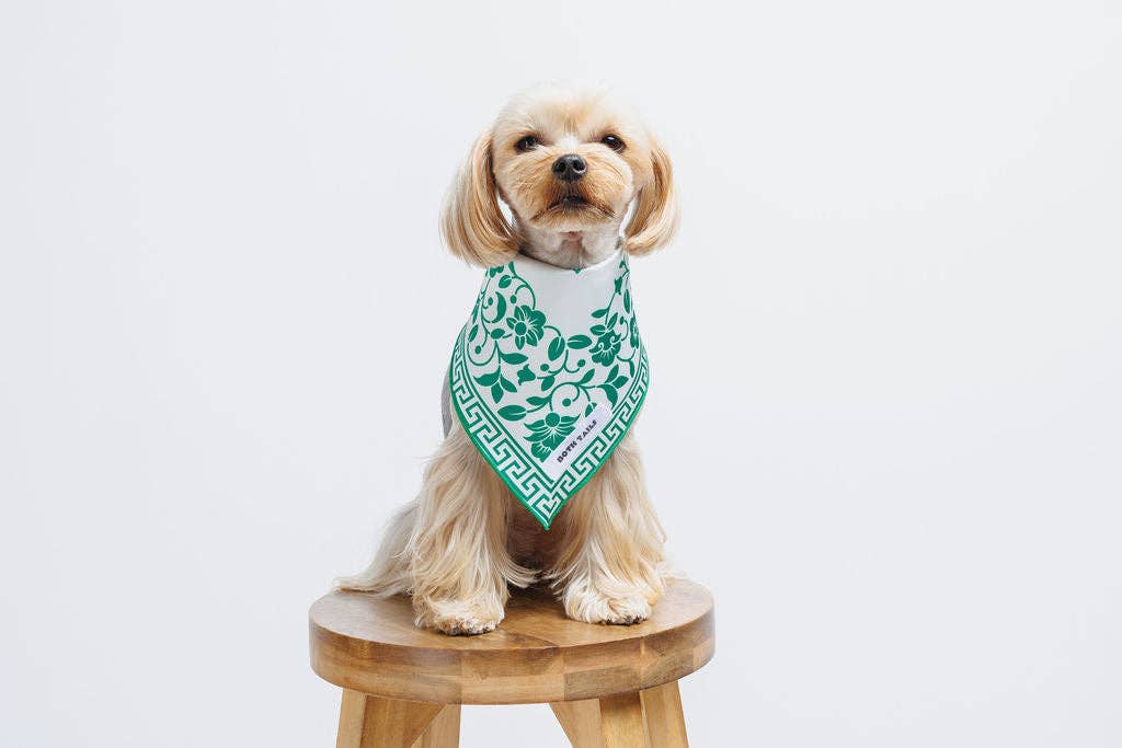 Both Tails - Wholesale Pet Bandana - Dog - Royal Dog Bandana3