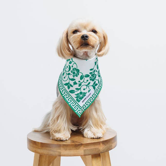 Both Tails - Wholesale Pet Bandana - Dog - Royal Dog Bandana3
