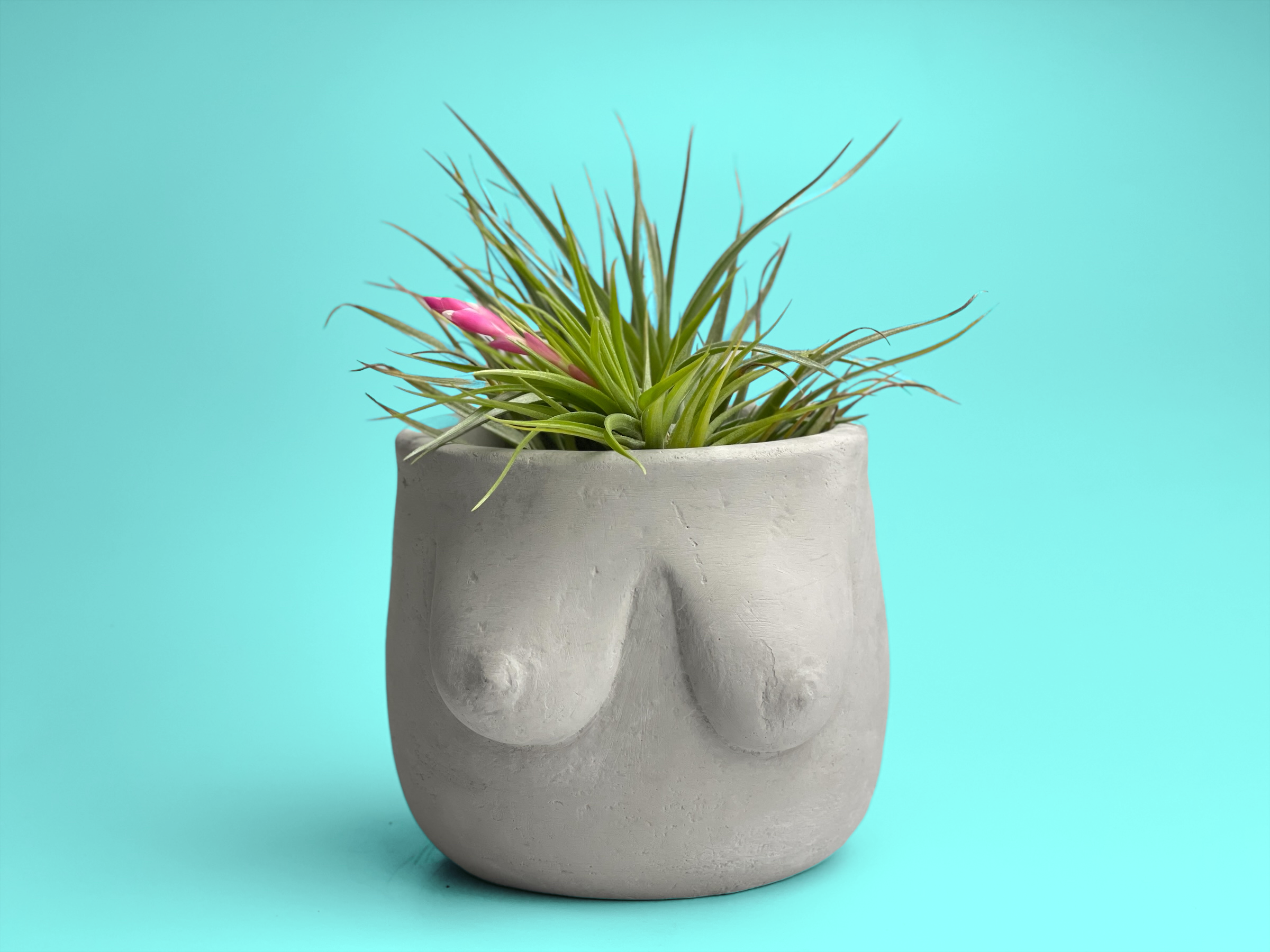 Planters Made in the USA - Wholesale Plant Pot - Boobs Planter, Woman Body Pot, Female Torso Decor, Breast5