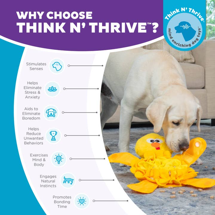 Pet Palette Distribution - Wholesale Pet Plush Toy - Dog - Nina Ottosson Snuffle Palz Chicken Interactive Plush Dog Toy5