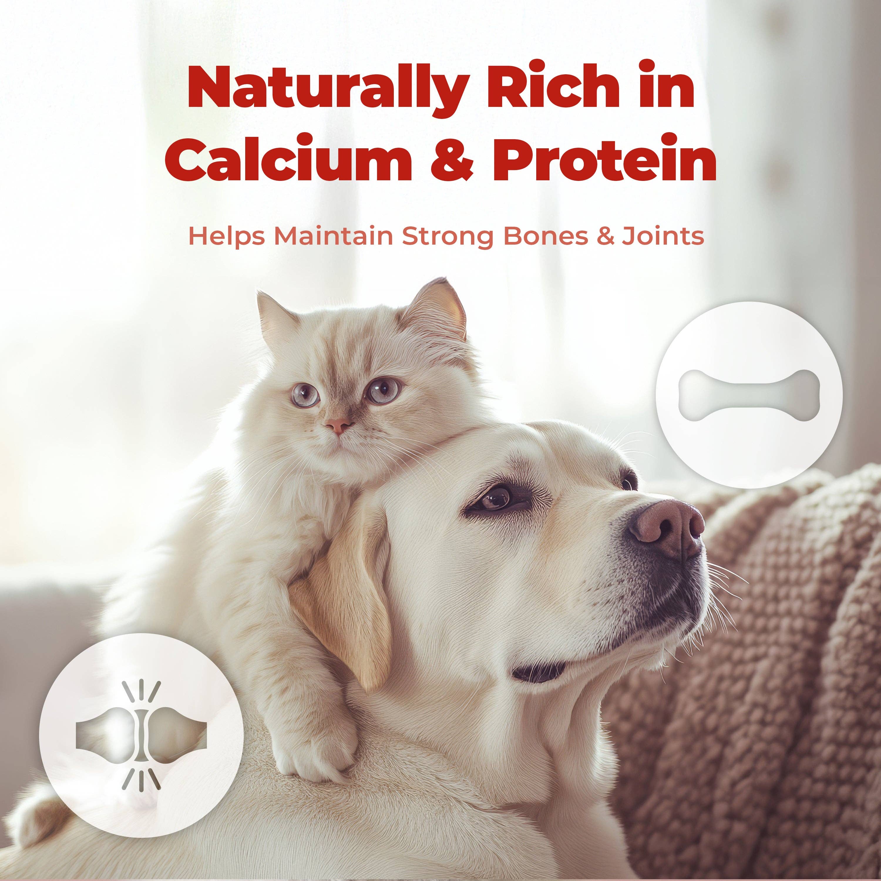 Kproduct4u - Venta al por mayor Chuches - Perros - ¡Es cabra! ¡Fresa!5