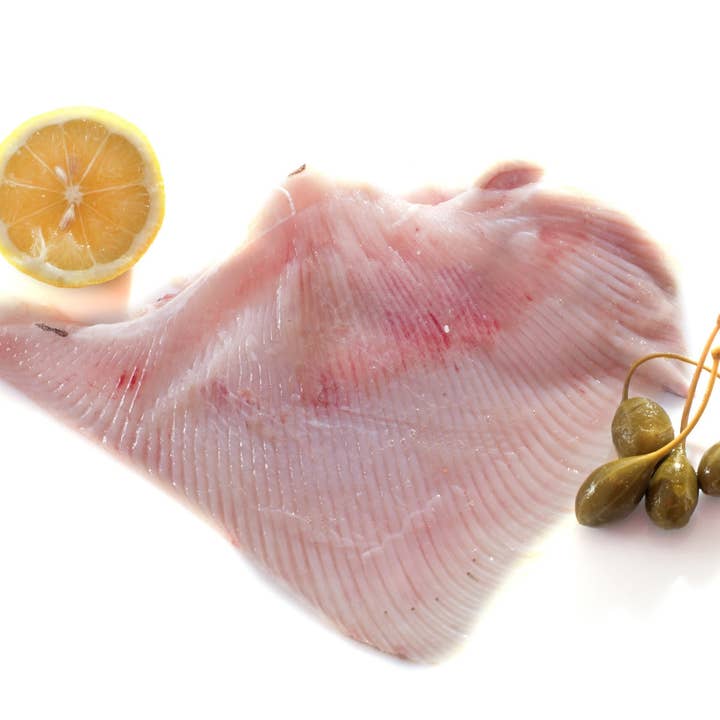 Skate, Fillet, North Atlantic, 1 lb Retail Tray for wholesale by All Fresh Seafood