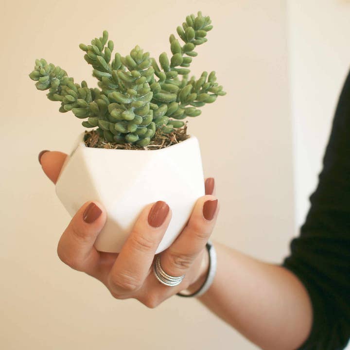 MARMEDA - Wholesale Succulent - Geometric Faux Sedum Succulent1