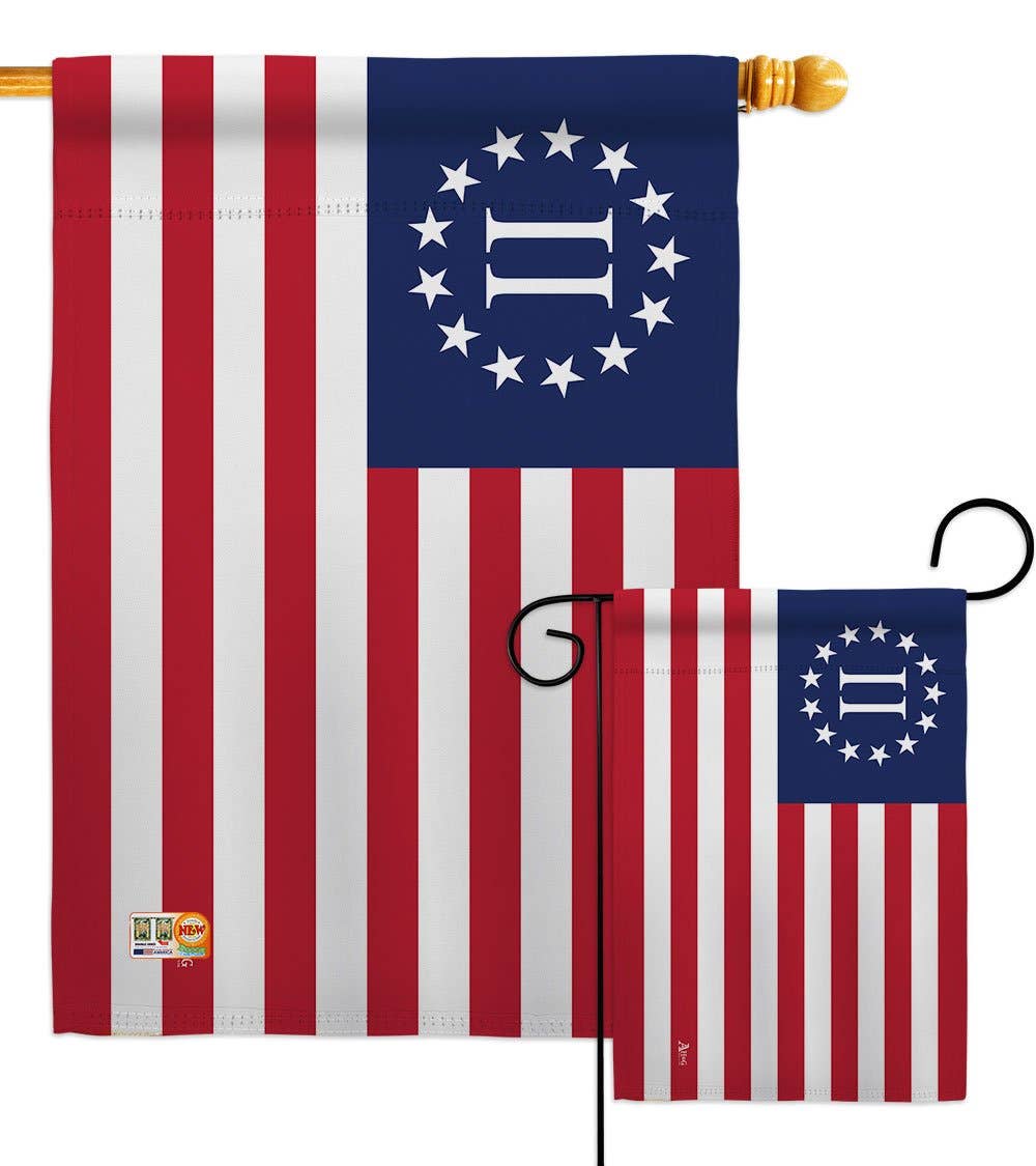 Two Group Flag Co – Großhandel Flagge – Zweite amerikanische Revolution Americana Historische US-Flagge3