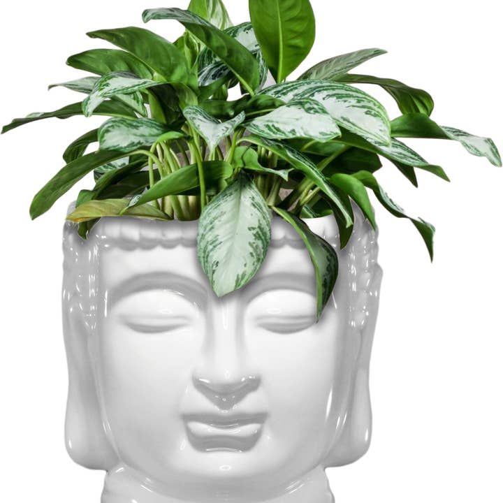 Buddha Bust Porcelain Planter Pot - SCC93 for wholesale by World Buyers