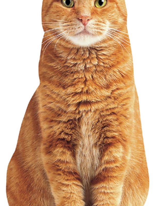 Red Tabby Cat Blank Diecut Card for wholesale by Paper House Productions