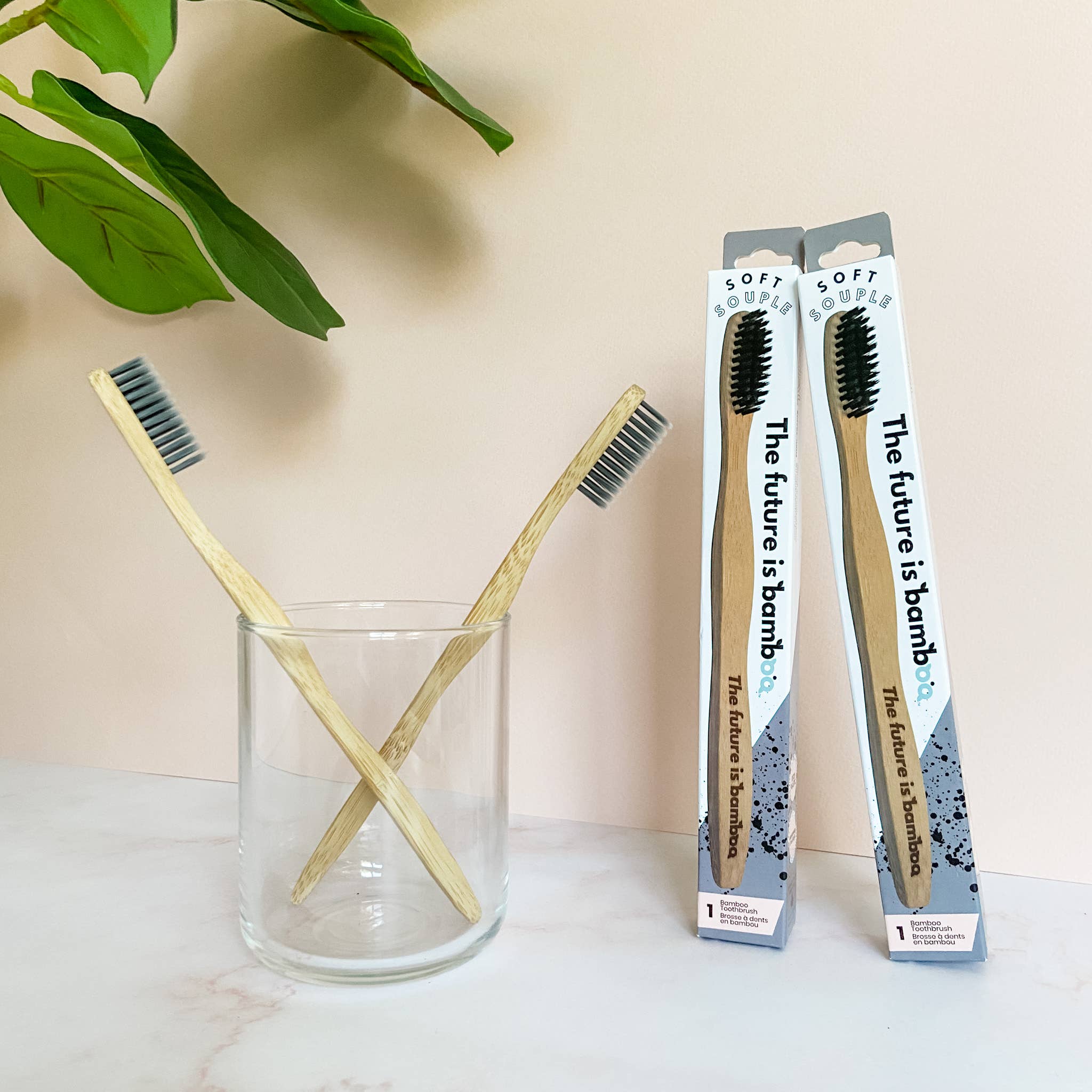 The future is bamboo - Wholesale Toothbrush - Charcoal Toothbrush7
