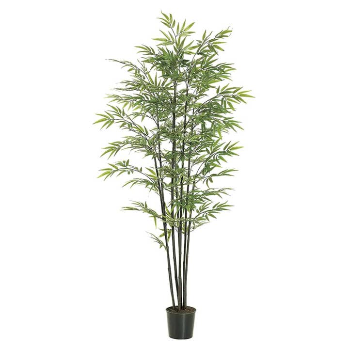 Arbre de bambou noir de 1,80 m x7 avec 1440 feuilles dans un pot en plastique noir vert pour la vente par Silk Flower Depot