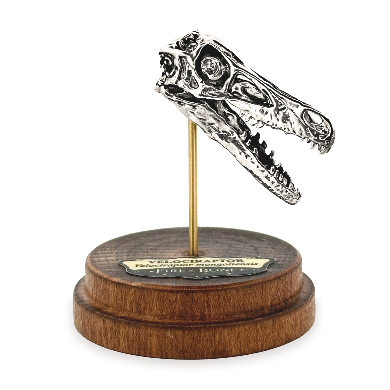 Fire & Bone - Wholesale Pendant/Charm Necklace - Velociraptor5