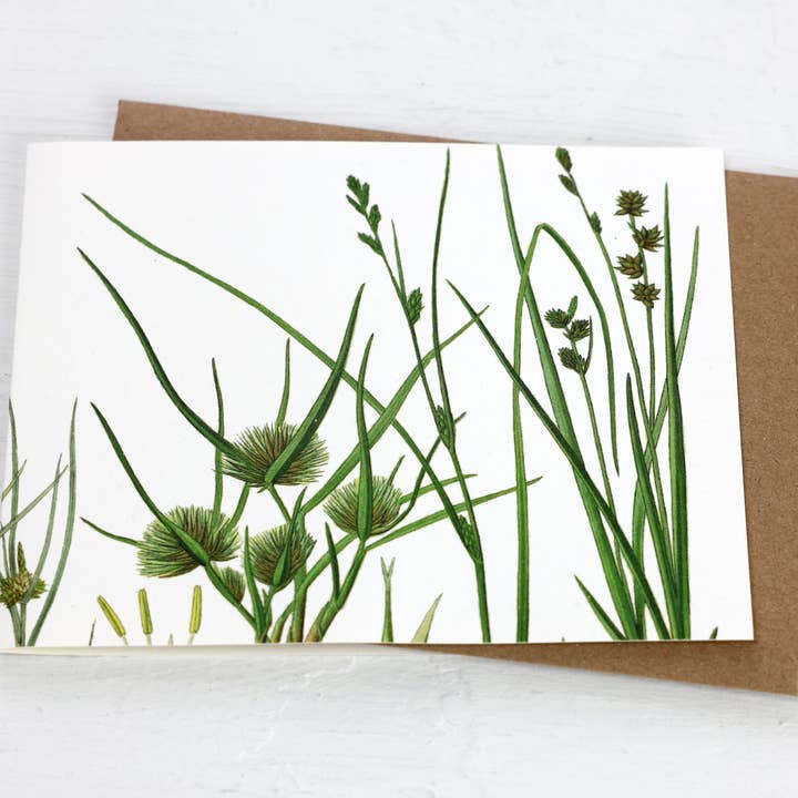 Fairhope Graphics - Wholesale Everyday Greeting Card - Grasses Card1