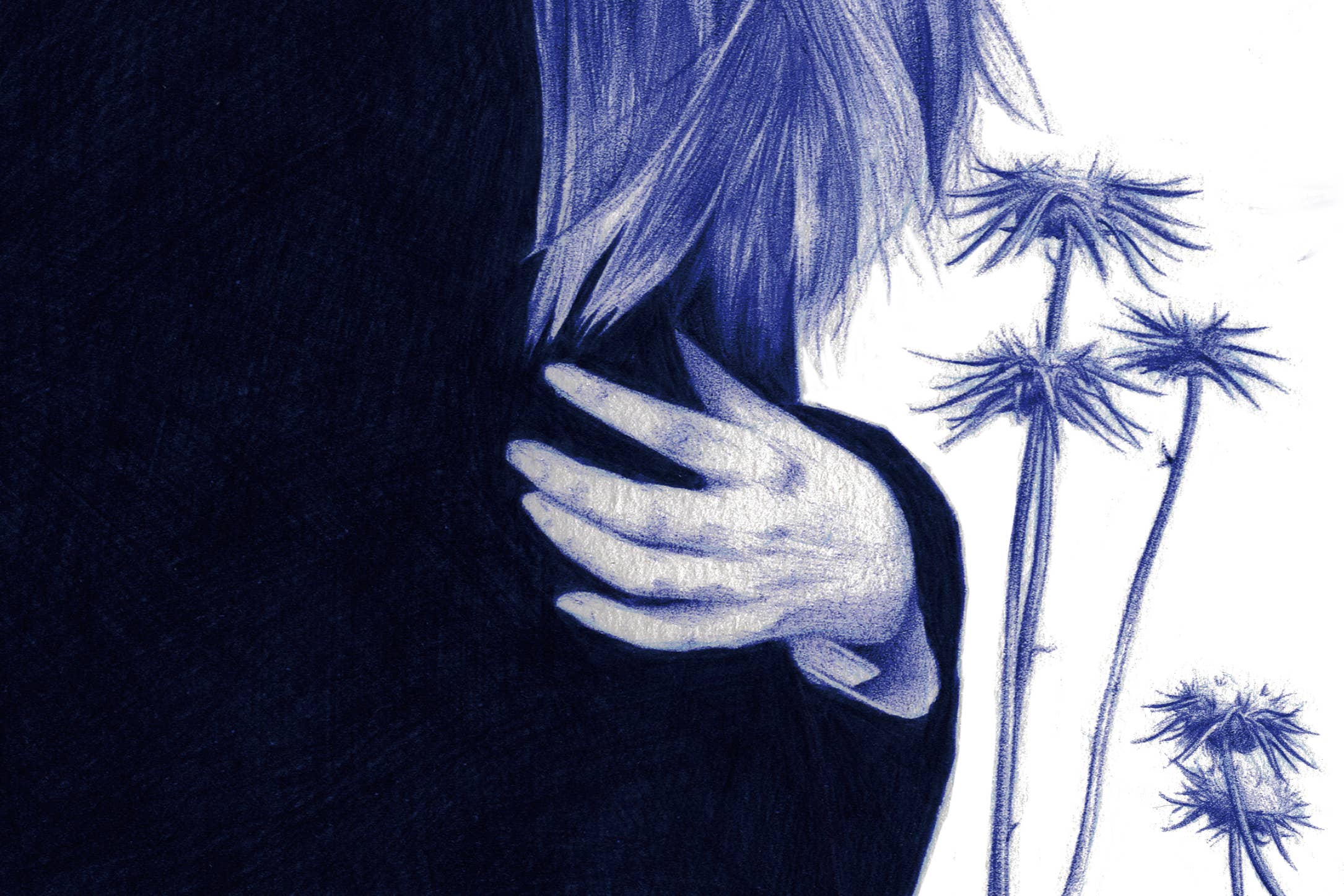 Belén Diz Juncal - Venta al por mayor Ilustración - Ilustraciones a bolígrafo - Arte original - Cardos2