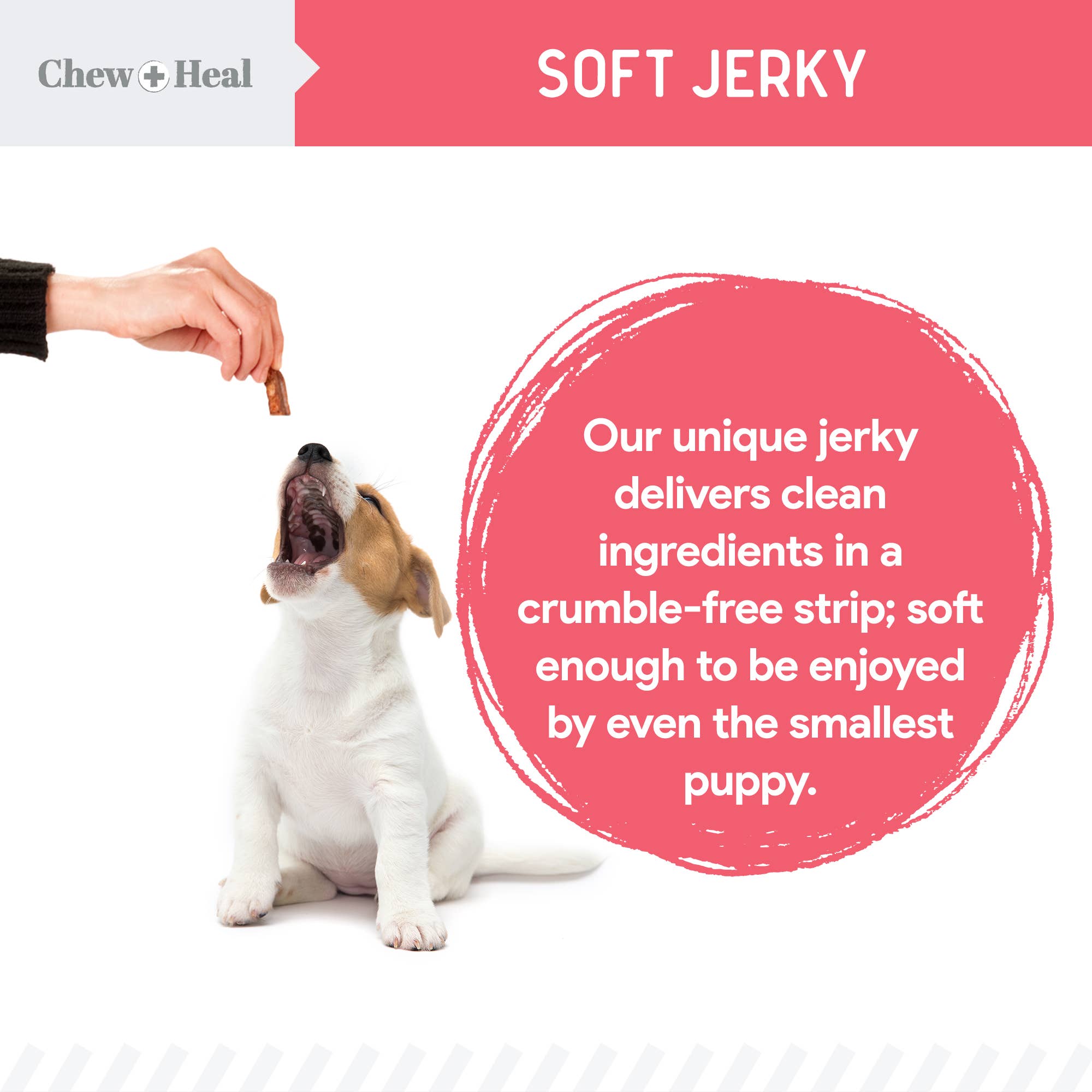 Chew + Heal – Großhandel Leckerlis – Hund – Puppy Wild Alaskan Salmon Limitierte Zutaten Hundesnacks6