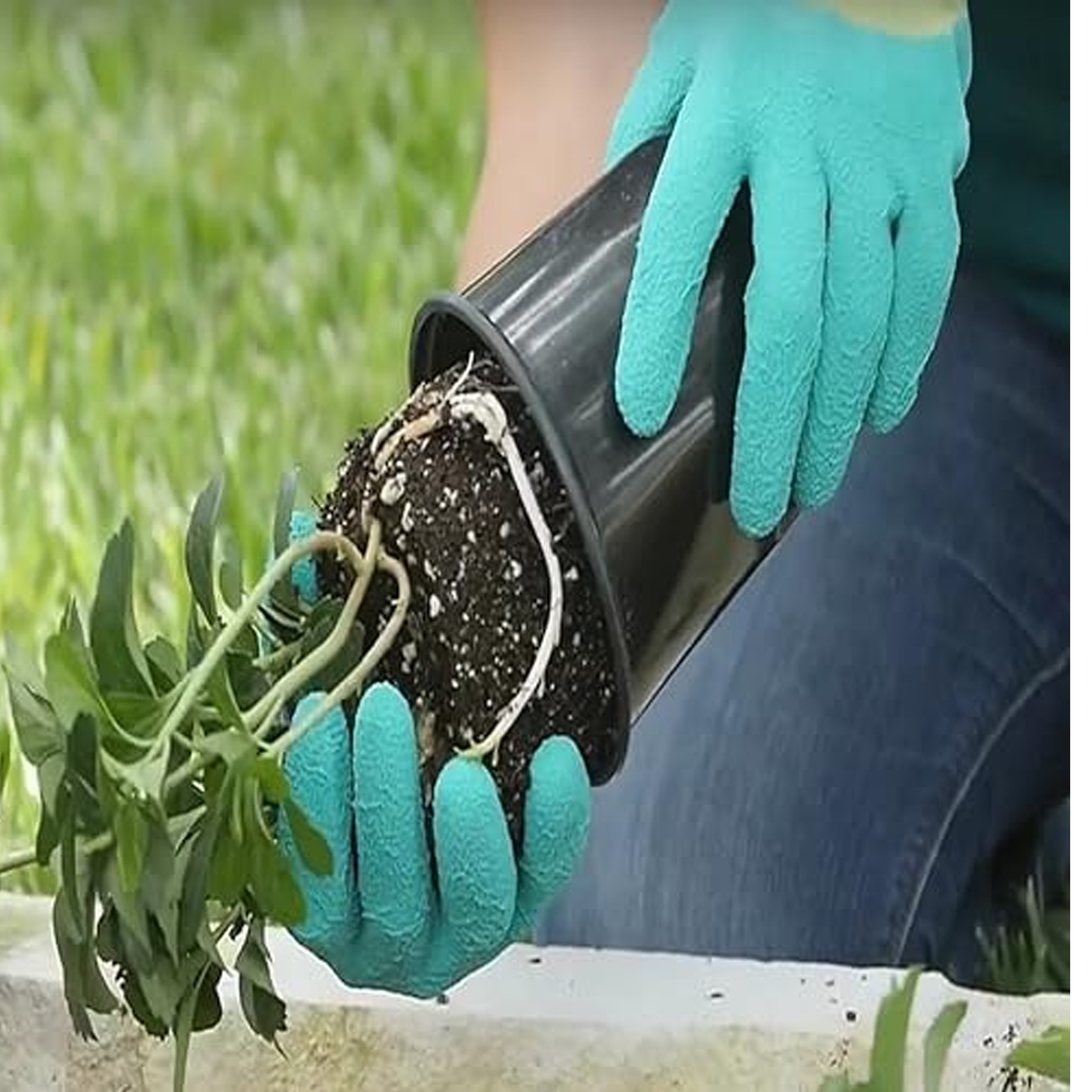 G & F Products - Wholesale Garden gloves - Women MicroFoam Coated Gardening Gloves Durable Flexible 3Pc3