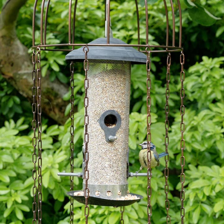 Wildlife World – wholesale Bird feeder – Simon King Medusa Feeder Defender - A Bird Feeder Protector