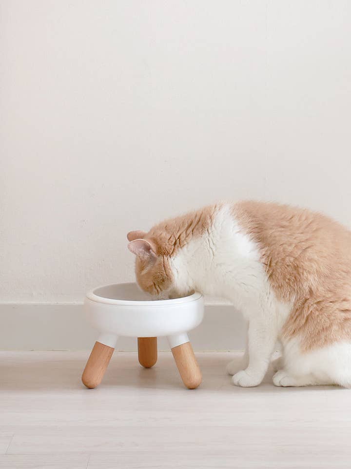 Oreo Elevated Pet Wood Table . Beech . Short for wholesale by Pets So Good