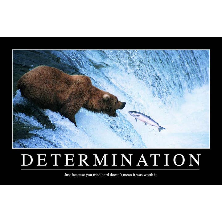 Determination Bear In Water Fish Motivational Art Print Poster for wholesale by Gotham Gifts