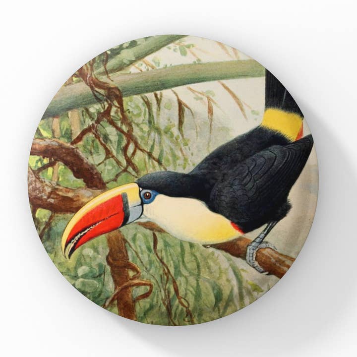 NatureCuts - Wholesale Lapel Pin/Button - Toucan Pin, Bird Pin, Toucan Keychain, Toucan Magnet0