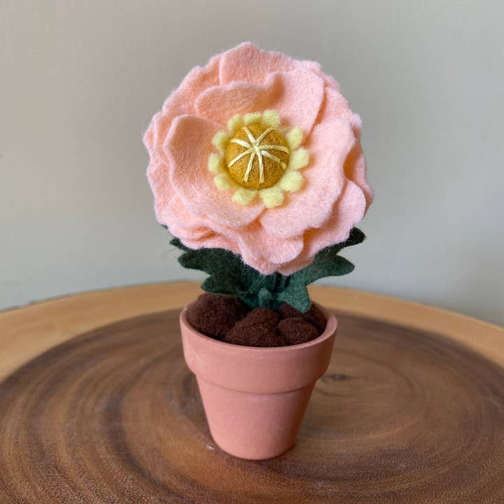 ForgetBKnot - Vente Fleurs artificielles - Fleur Éternelle en Feutre Coquelicot (Fleur de Naissance du Mois d'Août)1