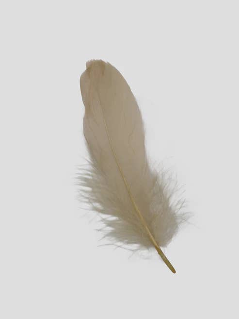 Finner 12-15 cm Ecru for engroshandel hos Enkels Feathers