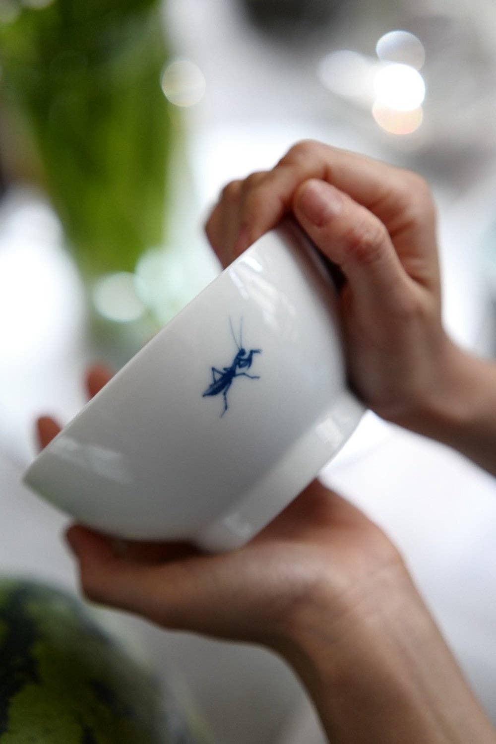 lilibo – Tigela por atacado – LOUVA-A-DEUS - Tigela de porcelana com padrão de inseto, tigela de arroz, tigela de snacks, tigela de iogurte, tigela de sopa1