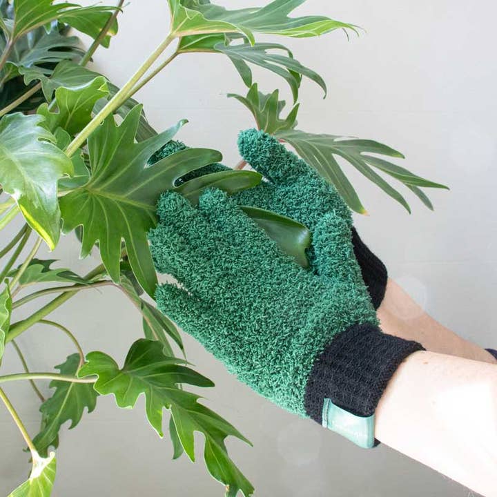 Botanopia - gifts , decor and cards for plant lovers - Wholesale Garden Gloves - Leaf Love Gloves - Microfiber dusting gloves for plants