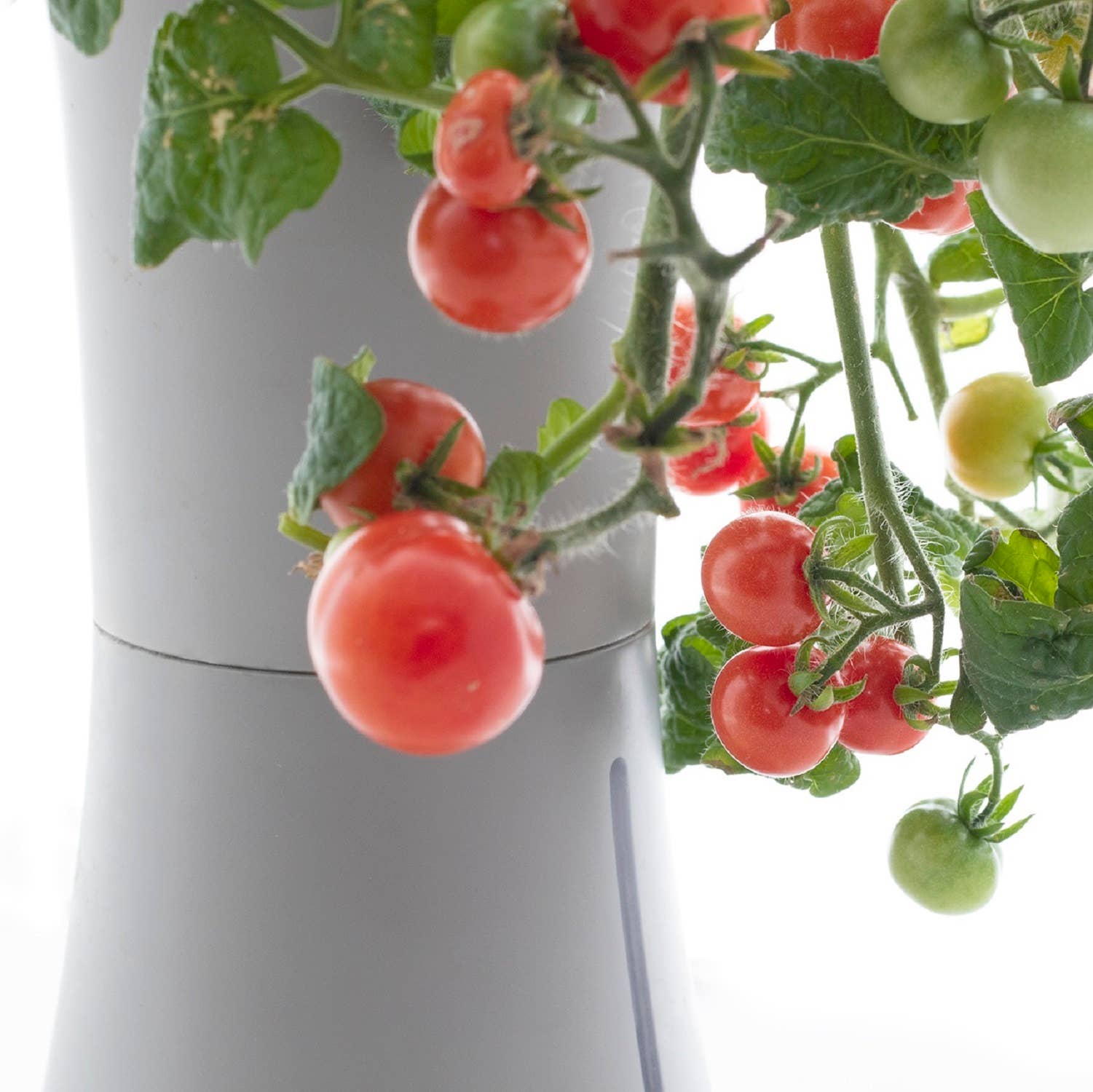 Botanium AB – Engroshandel Plantekrukke – Botanium selvvandende plantepotte - askesgrå9