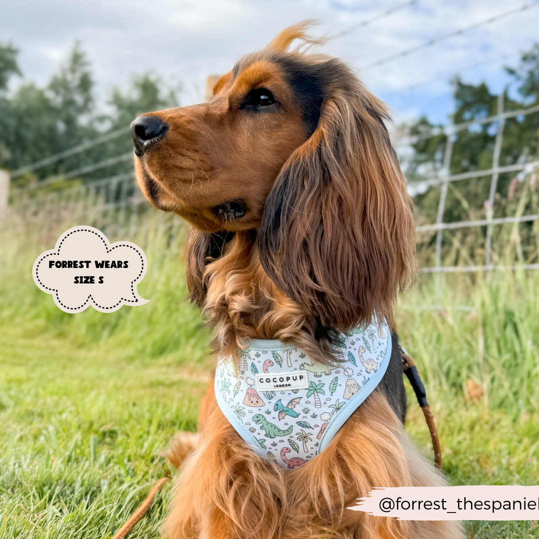 Cocopup London - Venta al por mayor Arnés - Perros - Arnés ajustable para cuello Dinopaws7