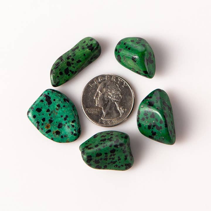 Tree of Life Gems – Engroshandel Spirituelle sten og krystaller – Medium tumlet grøn dalmatiner jaspis