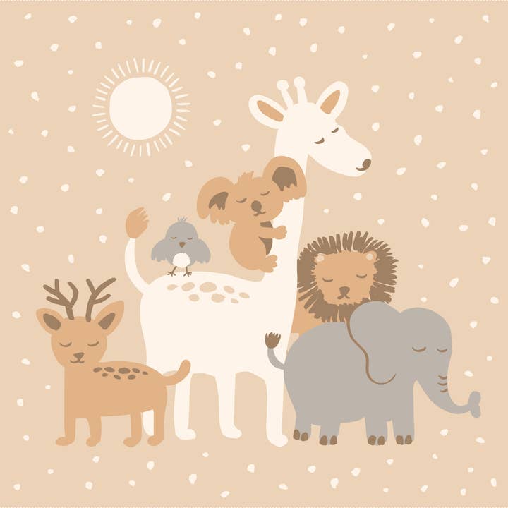 Welcome Party Deken voor wholesale door Fox & Fallow