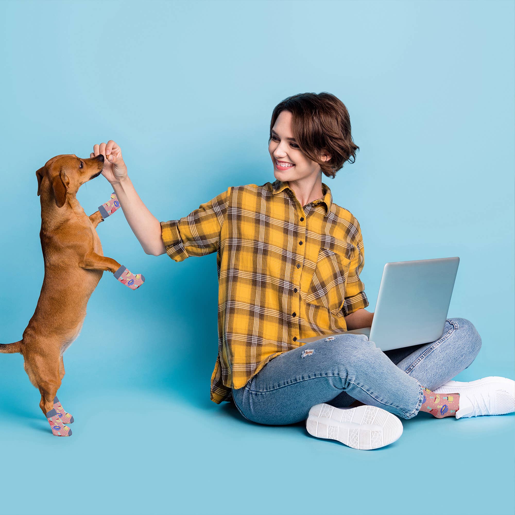 The American Gift Company (TAGCO) - Wholesale Pet Socks - Dog - Matching Pet And Owner Fun Socks65