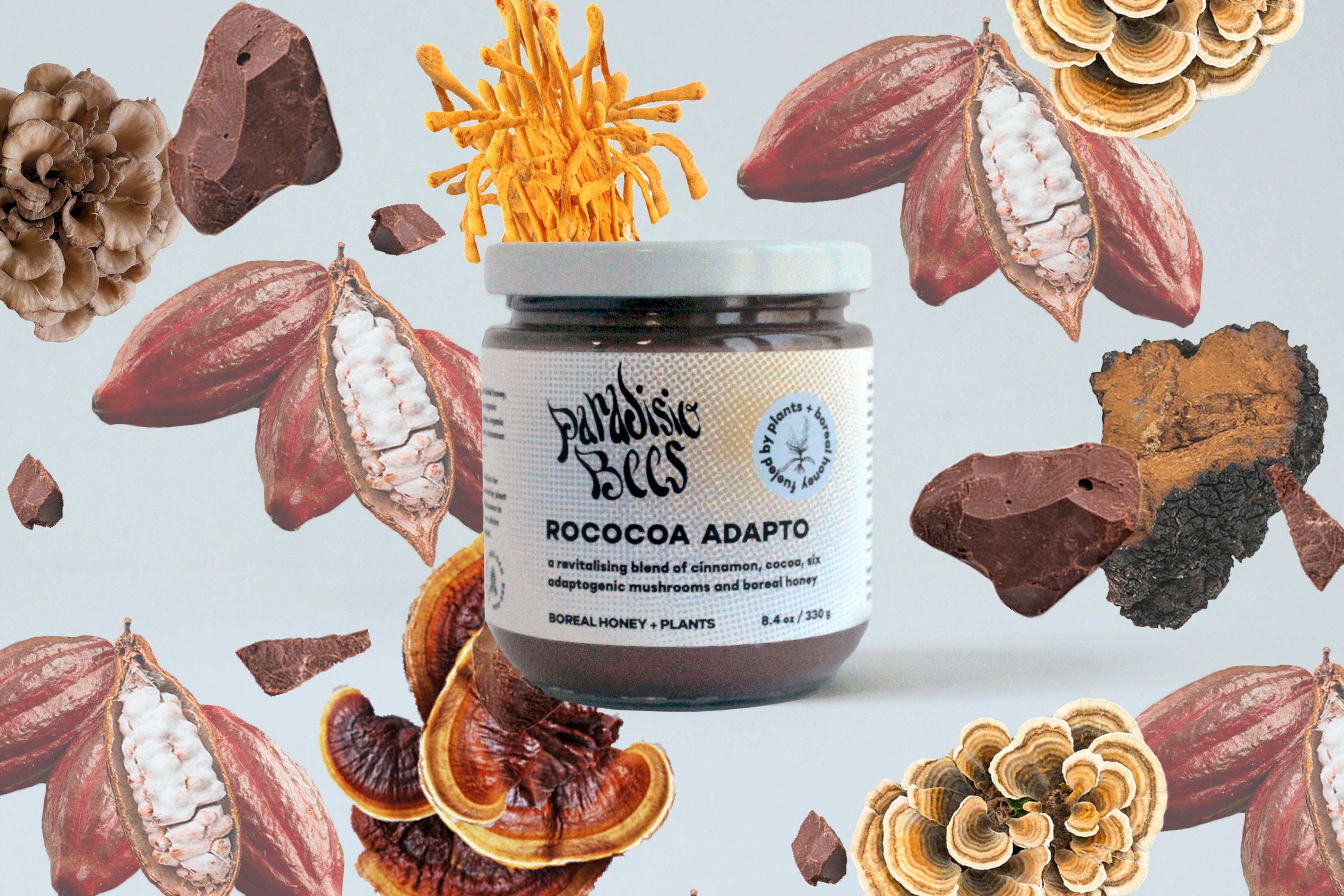 Paradisio Bees – wholesale Hot fudge/chocolate spread – ROCOCOA ADAPTO1