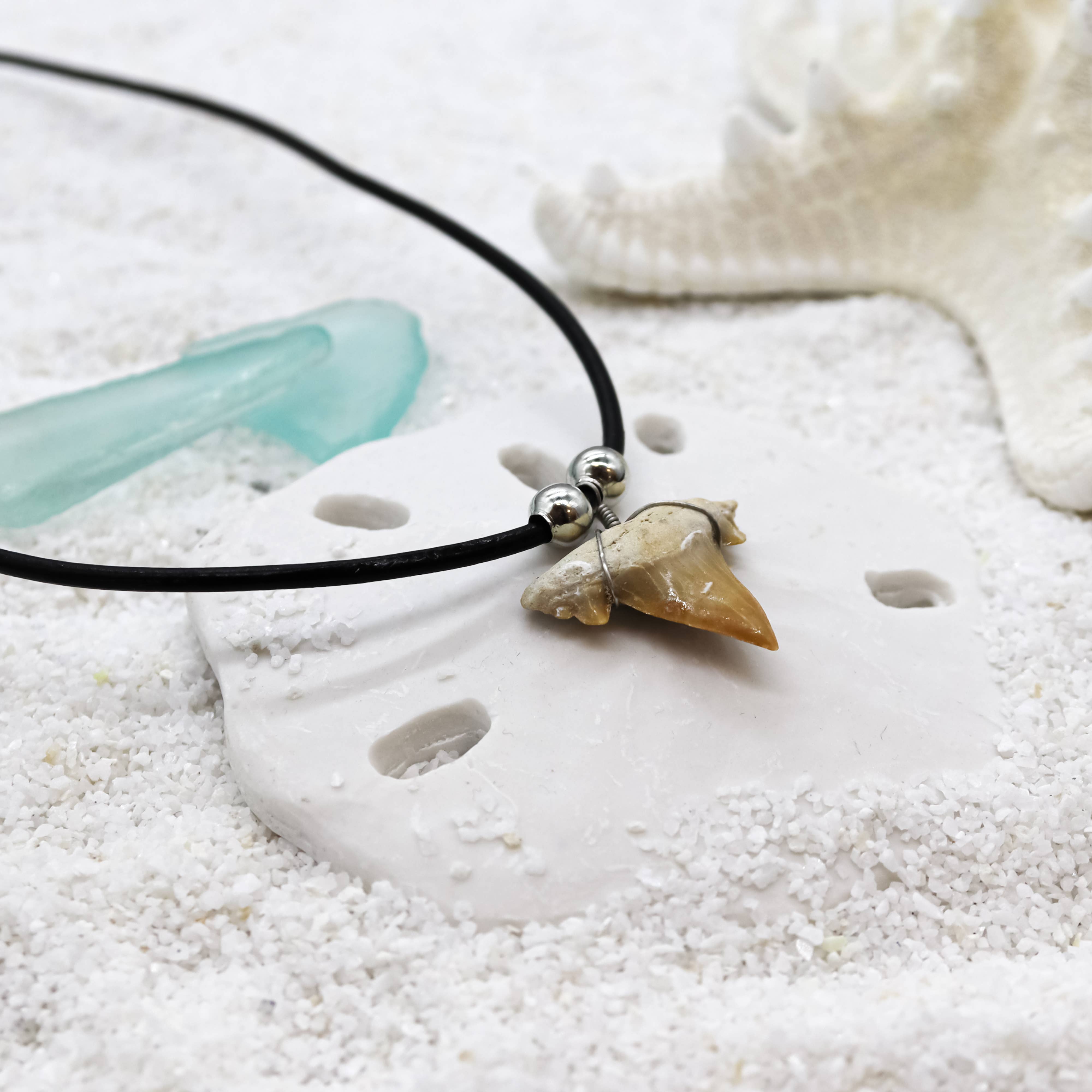 Natalia - Wholesale Pendant/Charm Necklace - Shark Tooth Necklace - Fossil Sharks Teeth with Leather Cord8