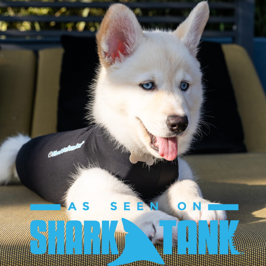 Shed Defender - Wholesale Pet Bodysuit - Cat/Dog - Shed Defender Post Surgery Recovery Suit for Dogs10