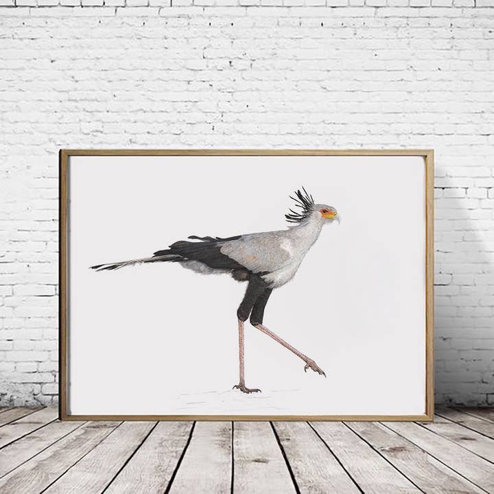 Secretary bird - A2 Print (landscape) for wholesale by Hidden Planet
