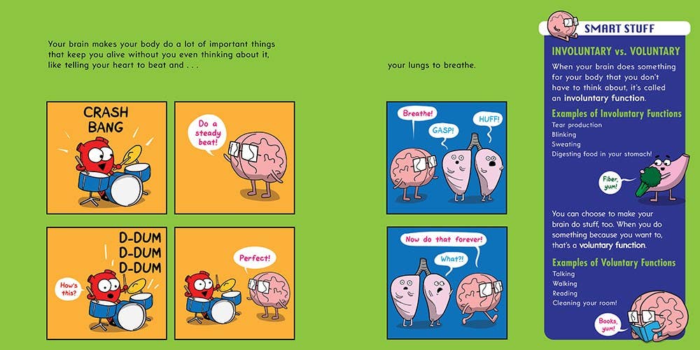 Scholastic - Wholesale Preschool Book (3-5) - The Brain Is Kind Of A Big Deal2