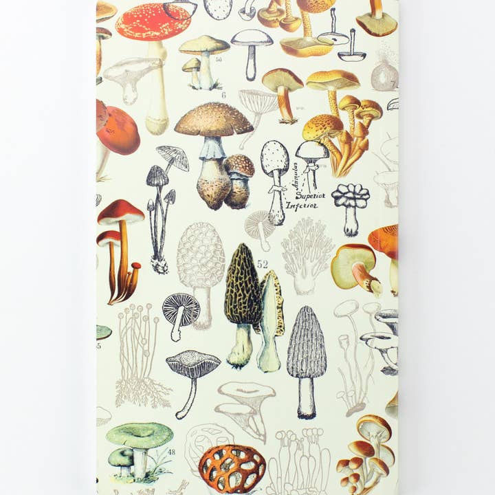 Cognitive Surplus - Wholesale Planner - Mushrooms Yearly Planner (Case of 6)1