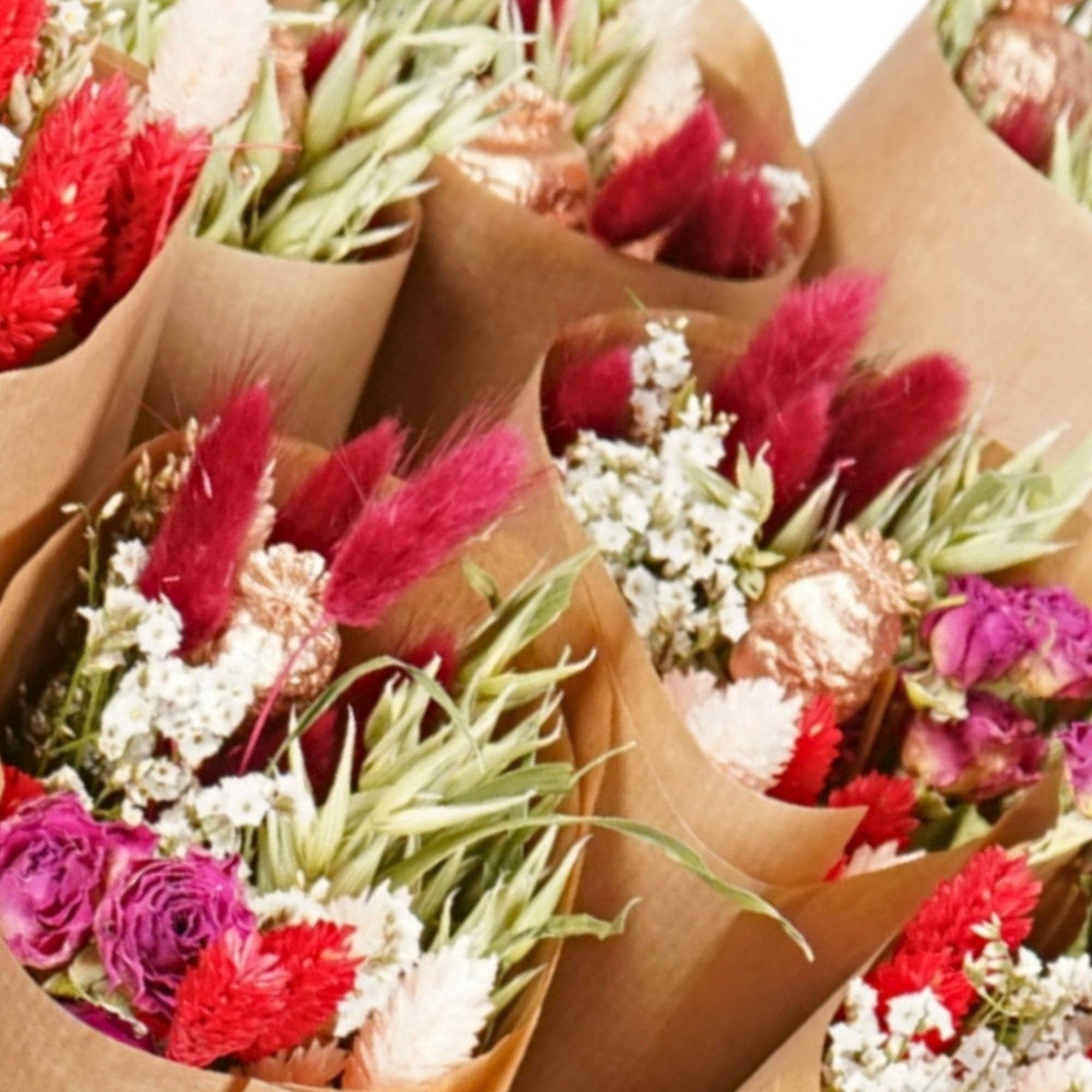 Wildflowers by Floriette - Wholesale Dried/Pressed Flowers - Dried Flowers - Market more - Red Allure - Valentine’s Tip1