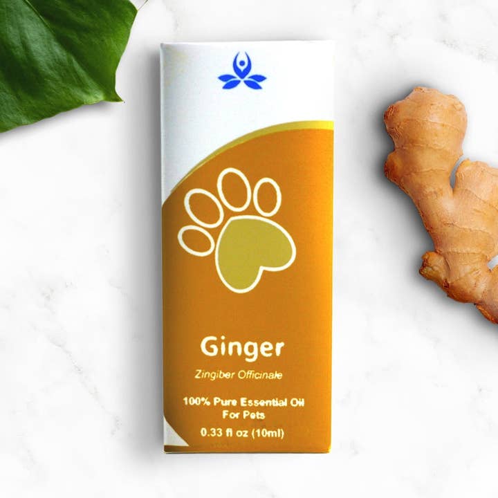 Aceite esencial de jengibre para mascotas para venta al por mayor de Incense Sticks
