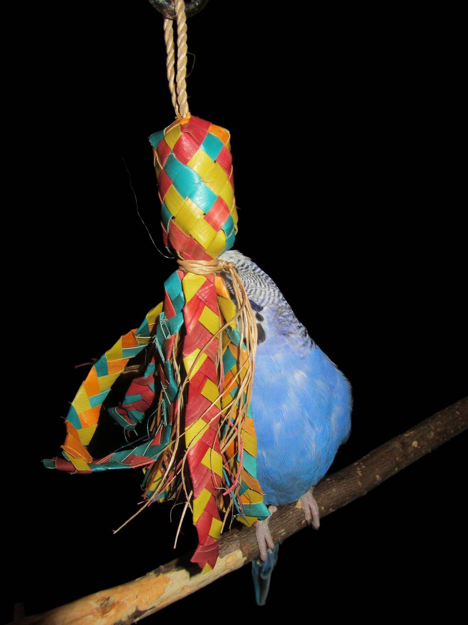 Planet Pleasures - Wholesale Bird swing/toy - Bird Candy2