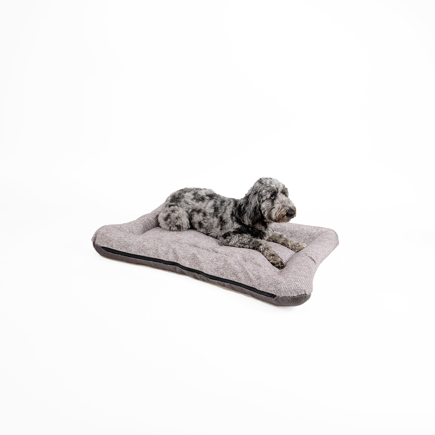 Snoozer Pet Products - Vendita all'ingrosso Letto - Cani - Cuccia per Cani All Day di Snoozer26