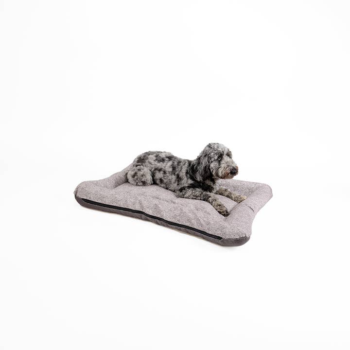 Snoozer Pet Products - Vendita all'ingrosso Letto - Cani - Cuccia per Cani All Day di Snoozer26