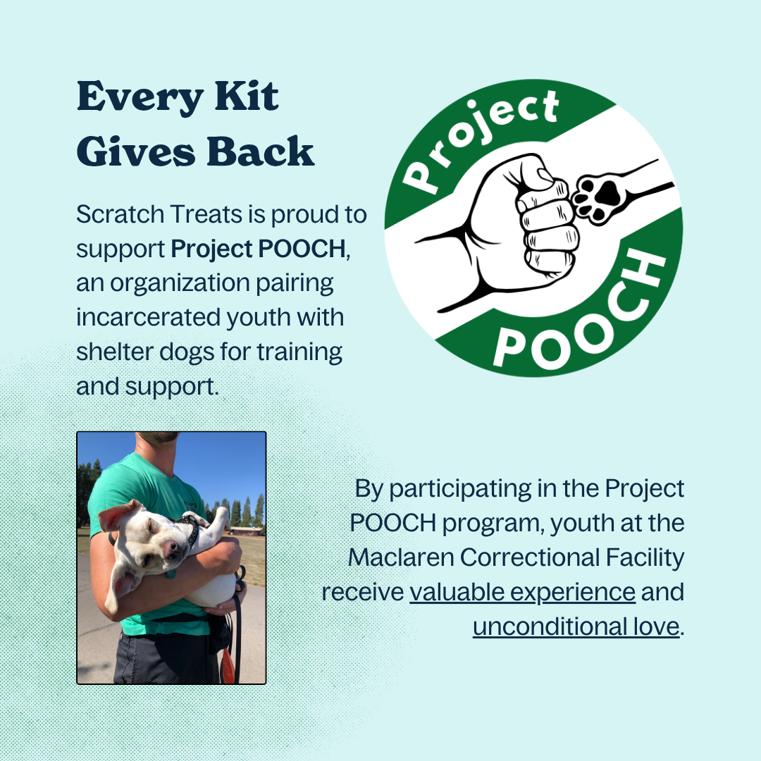 Scratch Treats - Wholesale Pet Treats - Dog - Bake-At-Home Dog Treat Kit - Purple Pup - Makes 80 Treats3