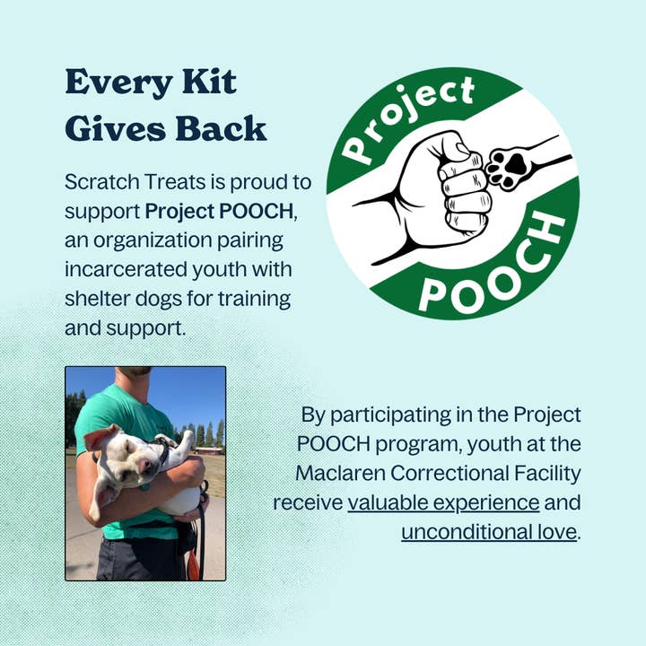 Scratch Treats - Wholesale Pet Treats - Dog - Bake-At-Home Dog Treat Kit - Purple Pup - Makes 80 Treats3