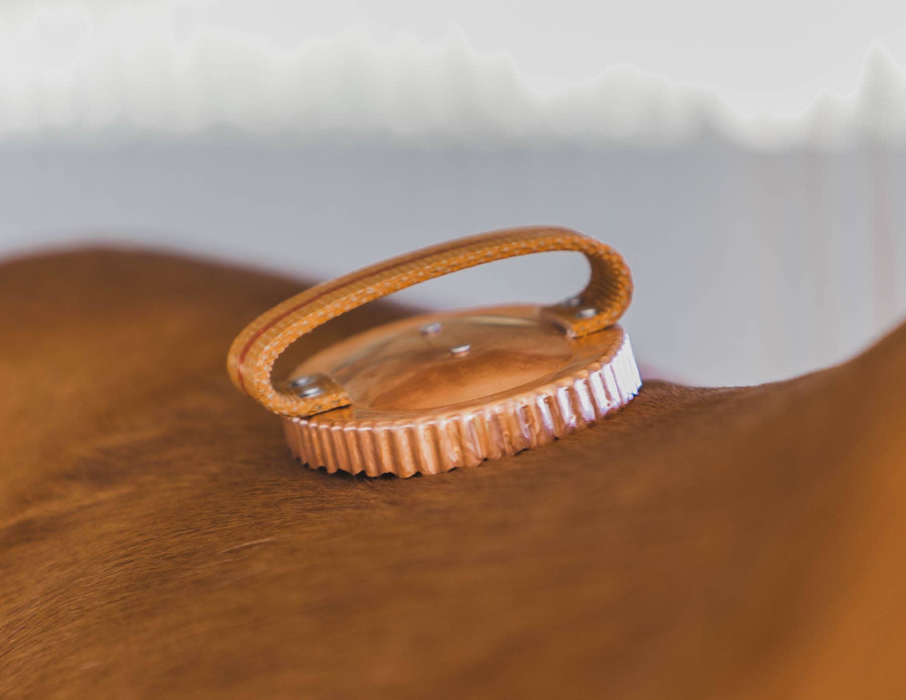 Kawell USA - Wholesale Horse Conditioner/Grooming Aid - Kawell Copper Curry Horse Brush5